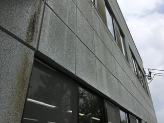 愛西市 アパート外壁の汚れやコケの発生例