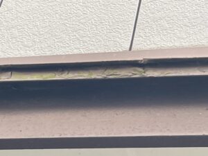 愛西市 O様邸 ひさし木部の劣化（塗膜の剥がれ・苔の付着）