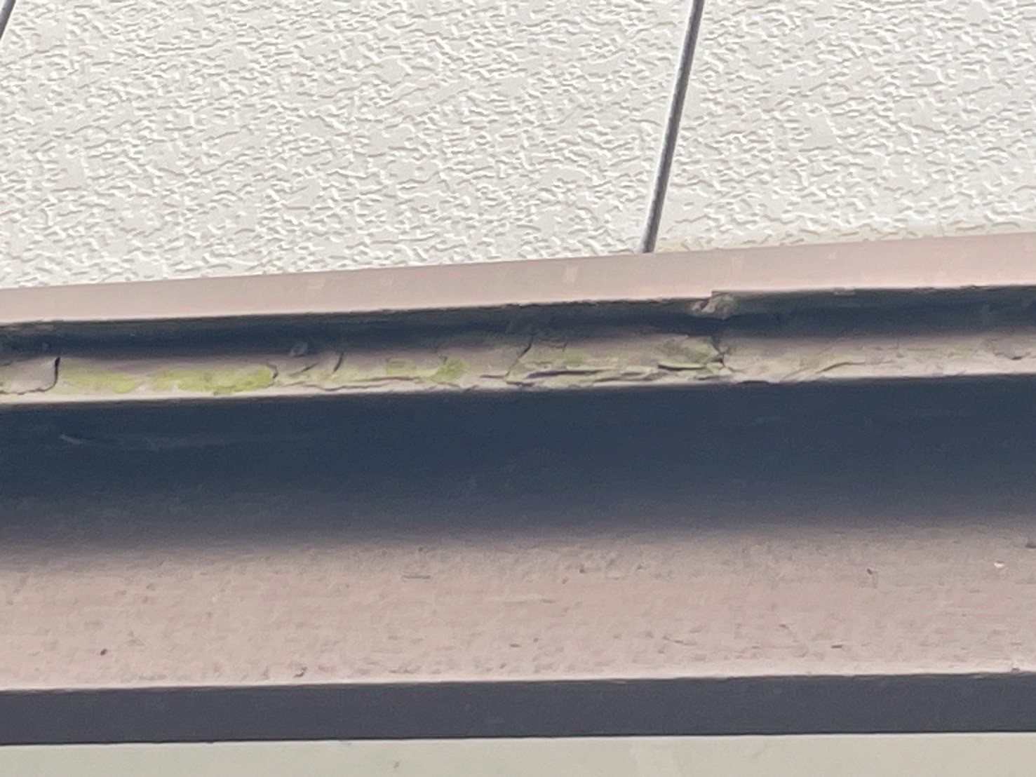 愛西市 O様邸 ひさし木部の劣化（塗膜の剥がれ・苔の付着）